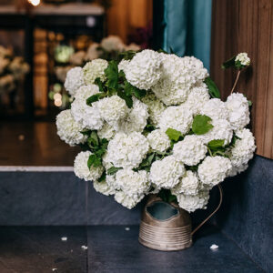 bucket-with-hydrangea-flowers-flower-shop